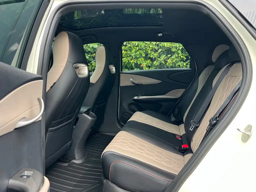 BYD Dolphin 2022