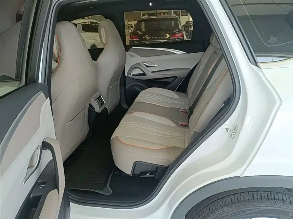 BYD Pro New Energy 2024 — фото 17