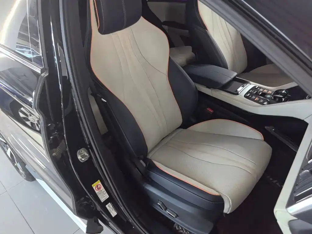 BYD Song PLUS New Energy 2023 — фото 25