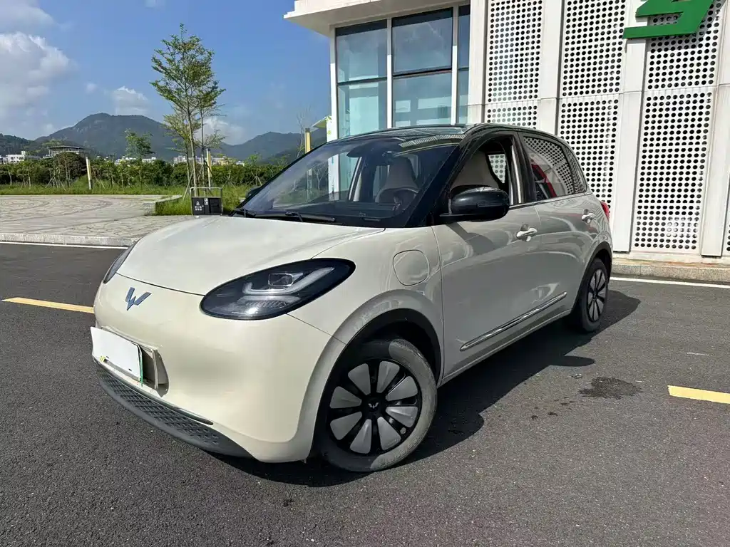 Wuling Bingo 2024