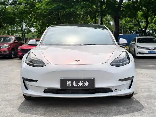 Tesla Model 3 2021