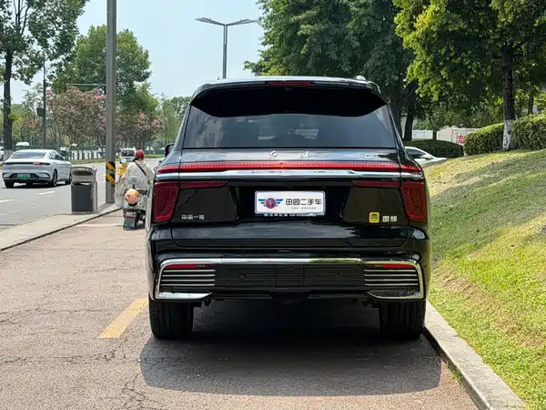 Hongqi Golden Sunflower Guoyao 2023