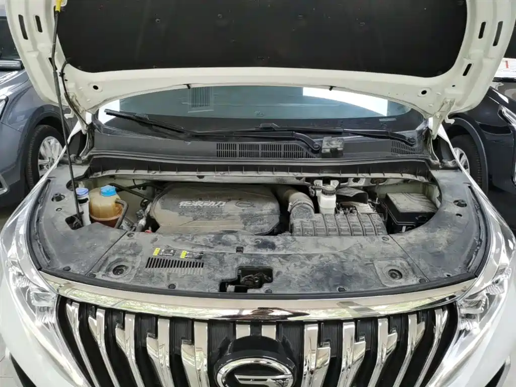 GAC Motor Trumpchi M8 2022 — фото 20