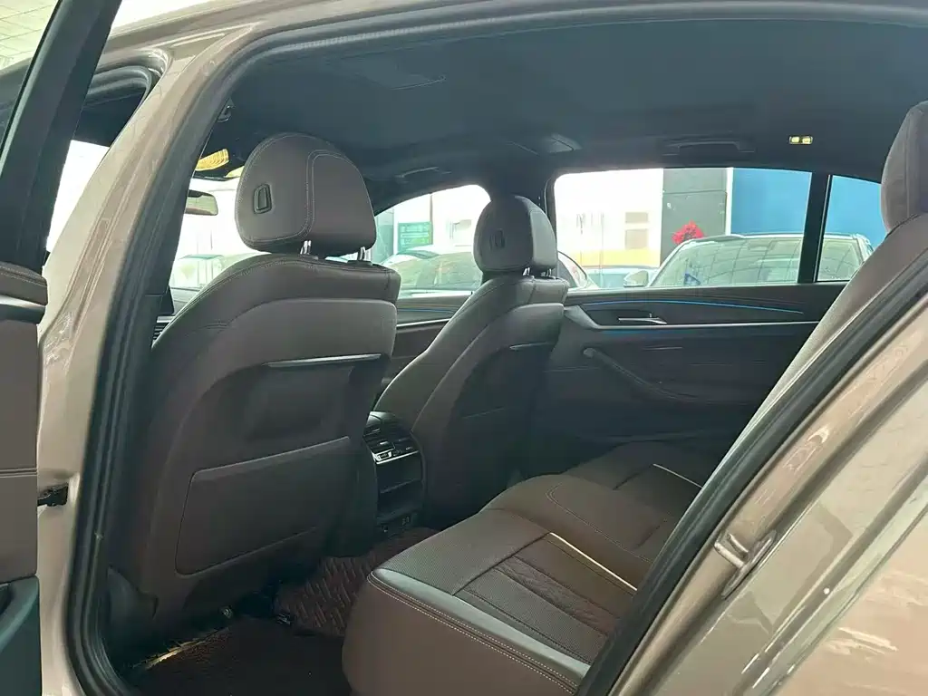 BMW 5 Series New Energy 2021