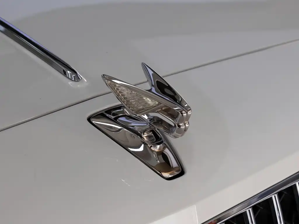 Bentley Flying Spur Plug-In Hybrid 2023 — фото 8