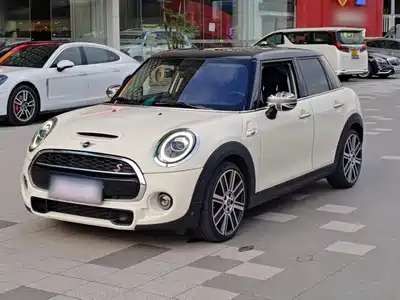 MINI MINI 2020