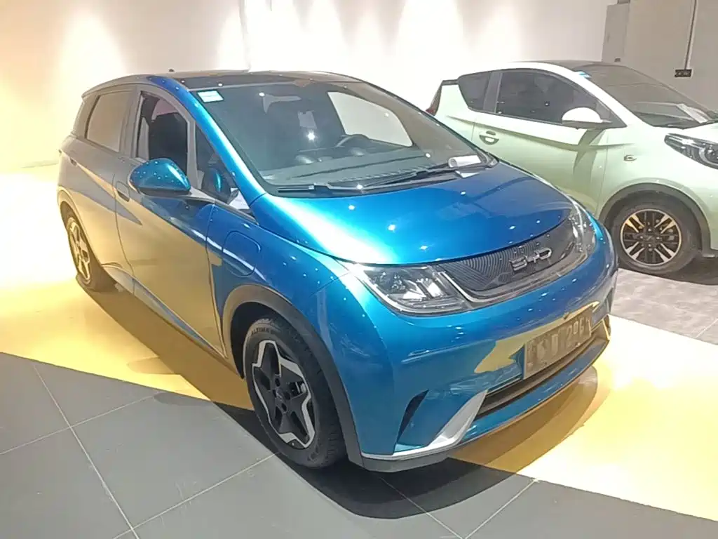 BYD Dolphin 2022