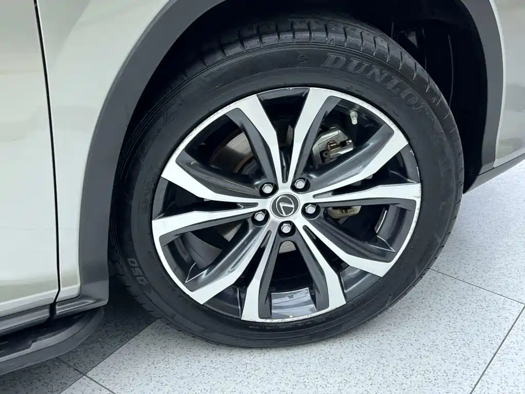 Lexus RX 2022 — фото 19