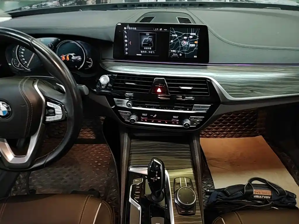 BMW 5 Series 2018 — фото 13