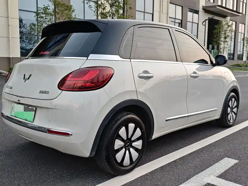 Wuling Bingo 2024