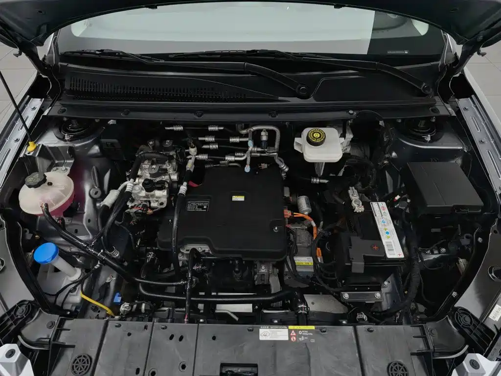 BYD e2 2024