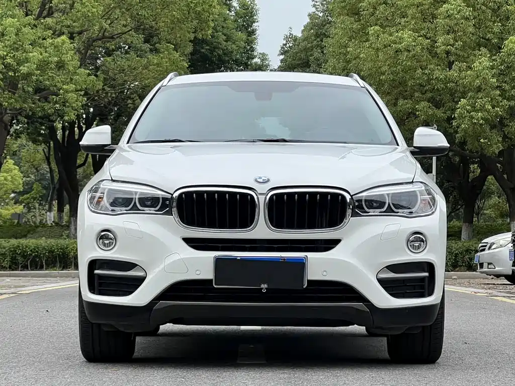BMW X6 2015 — фото 3