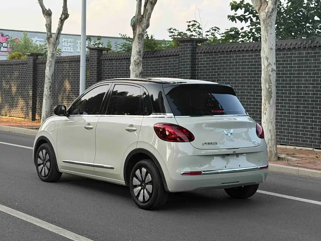 Wuling Bingo 2024