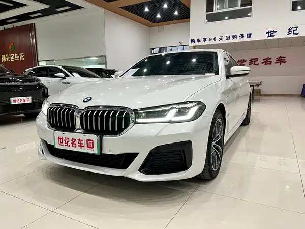 BMW 5 Series New Energy 2021