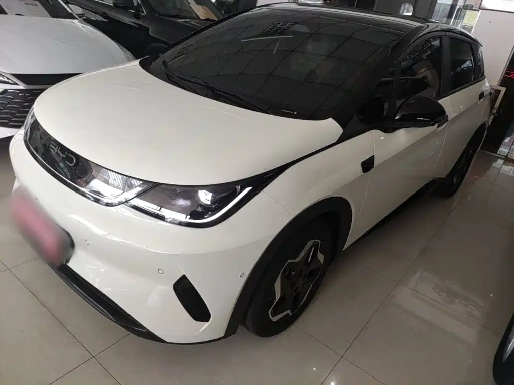 BYD Dolphin 2026