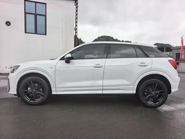 Audi Q2L 2022