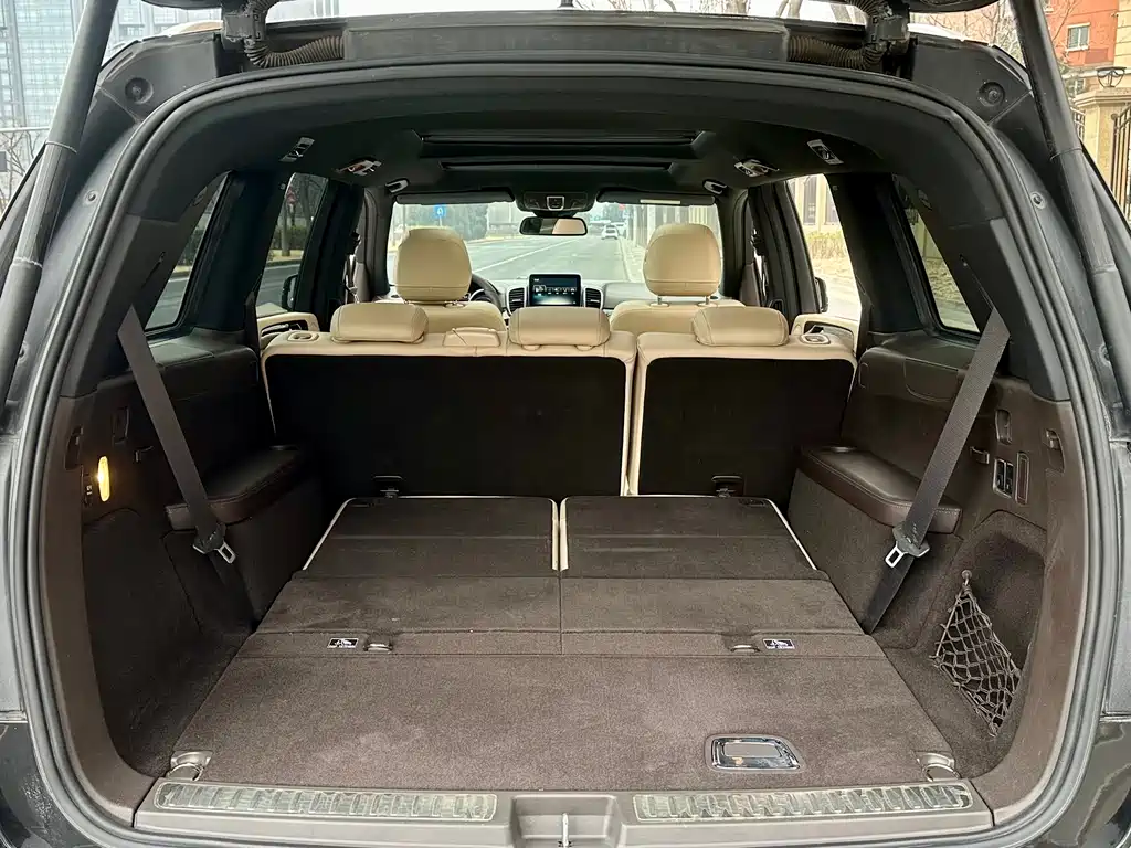 Mercedes-Benz GLS 2017 — фото 16