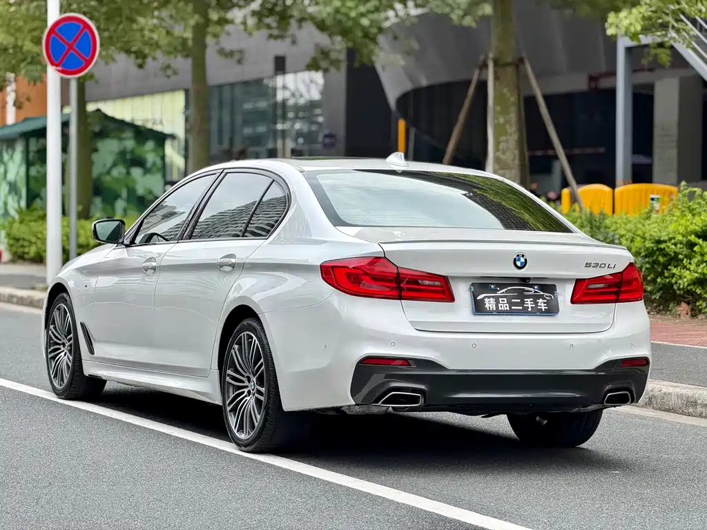 BMW 5 Series 2018 — фото 5