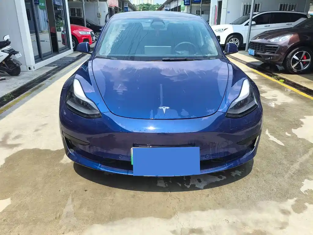 Tesla Model 3 2021 — фото 2