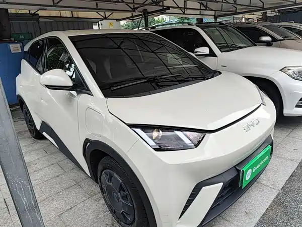 BYD Seagull 2024