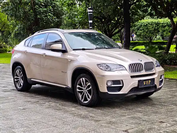 BMW X6 2014