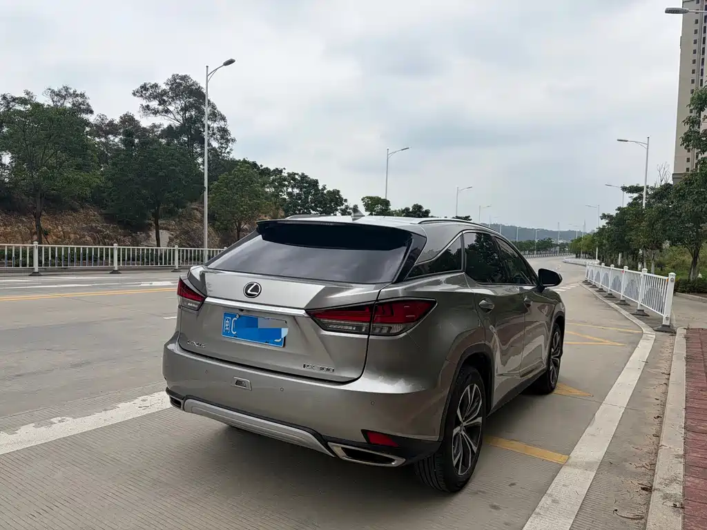 Lexus RX 2022 — фото 13