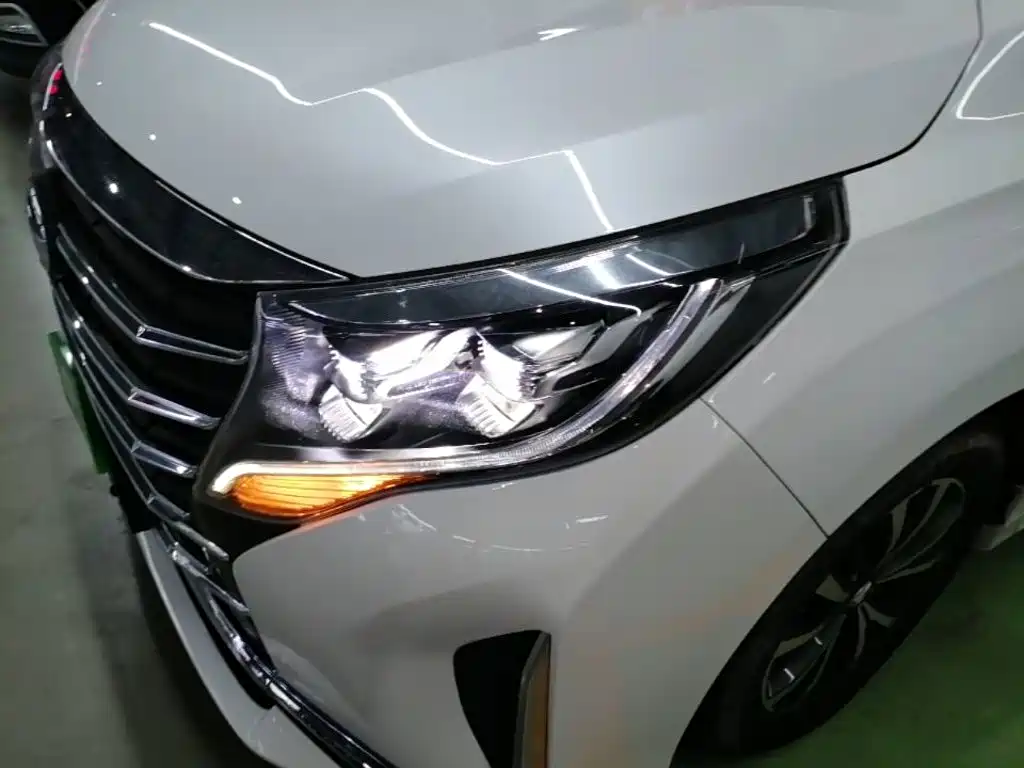 GAC Trumpchi M8 2022 — фото 24