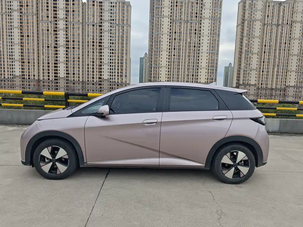 BYD Dolphin 2023
