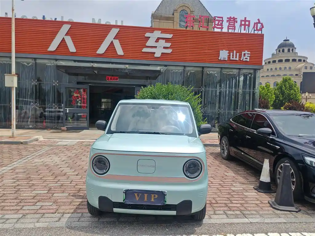 Galaxy Panda 2025