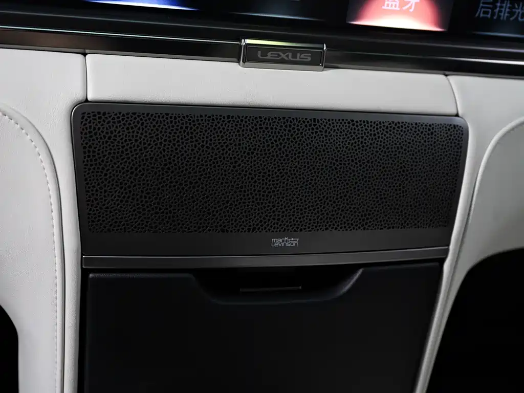 Lexus LM 2020 — фото 14