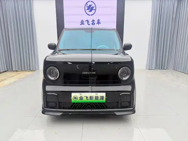 Geely Galaxy Panda 2025