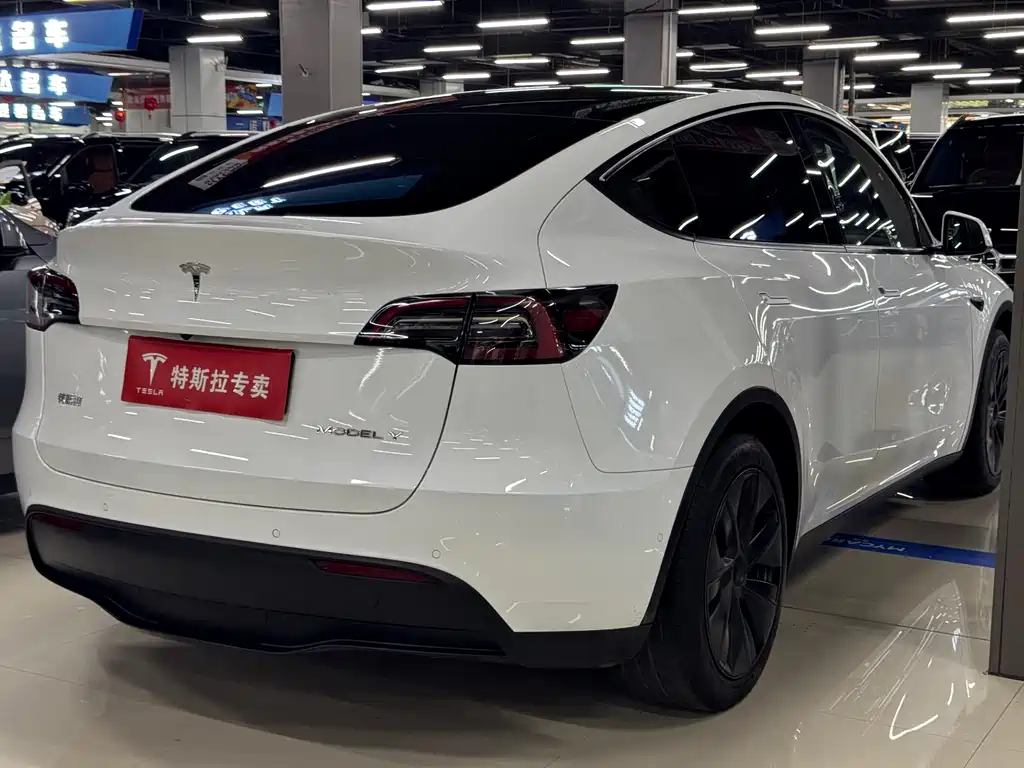 Tesla Model Y 2023 — фото 10