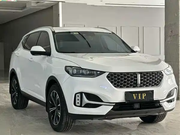 Wey VV6 2020