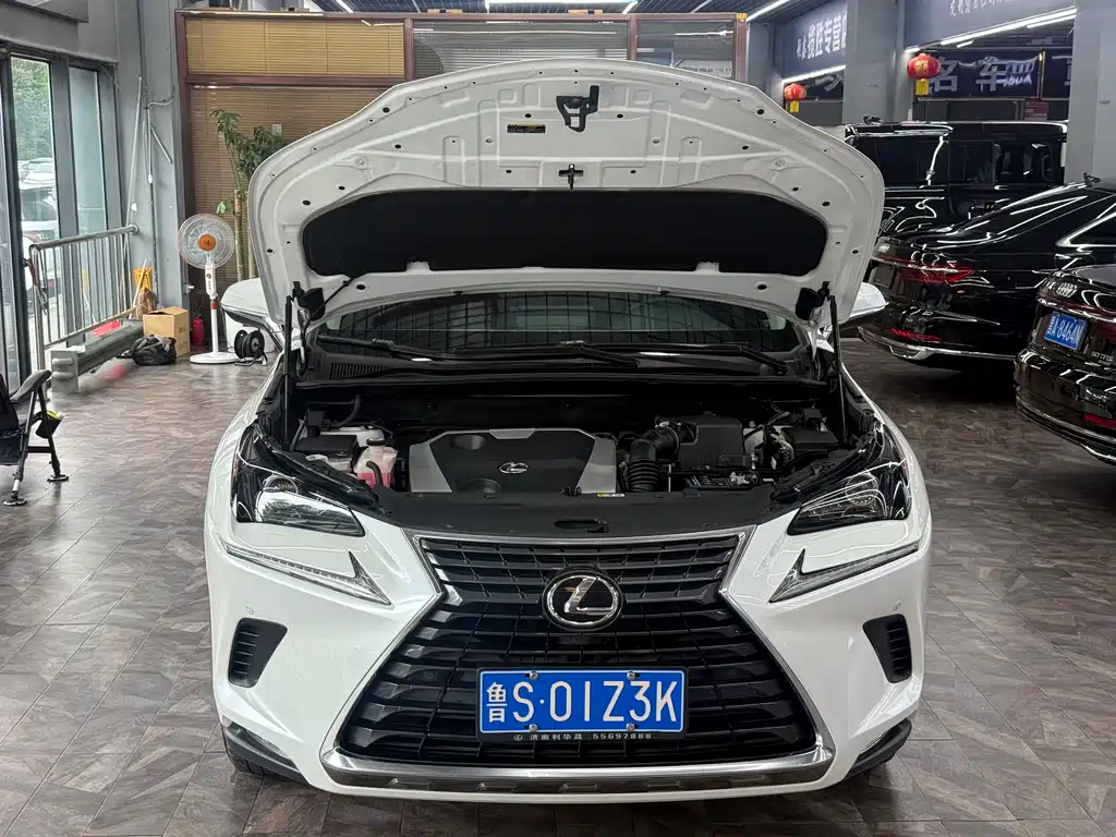 Lexus NX 2020 — фото 8