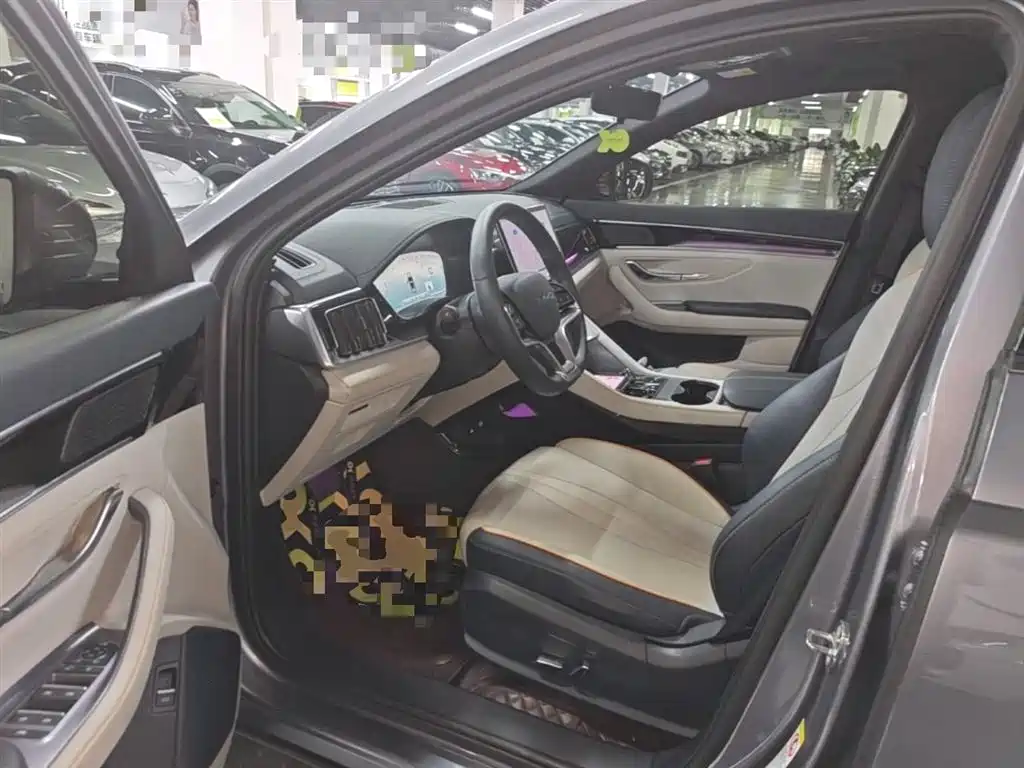 BYD PLUS New Energy 2024 — фото 15