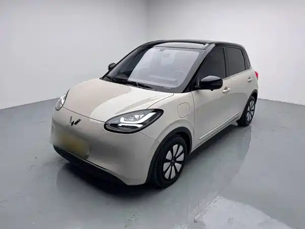 Wuling Bingo 2025