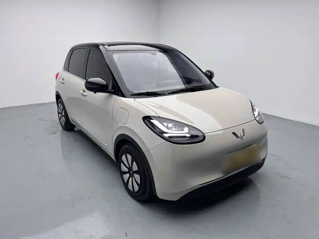 Wuling Bingo 2025