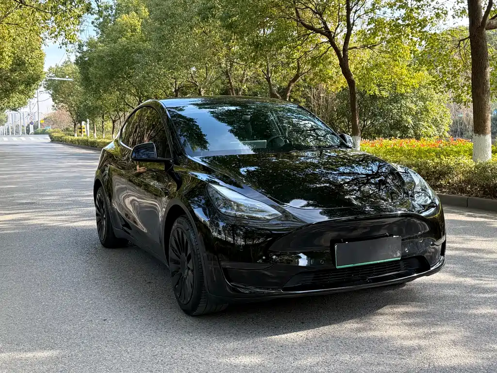Tesla Model Y 2023 — фото 3