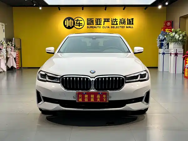 BMW 5 Series 2021