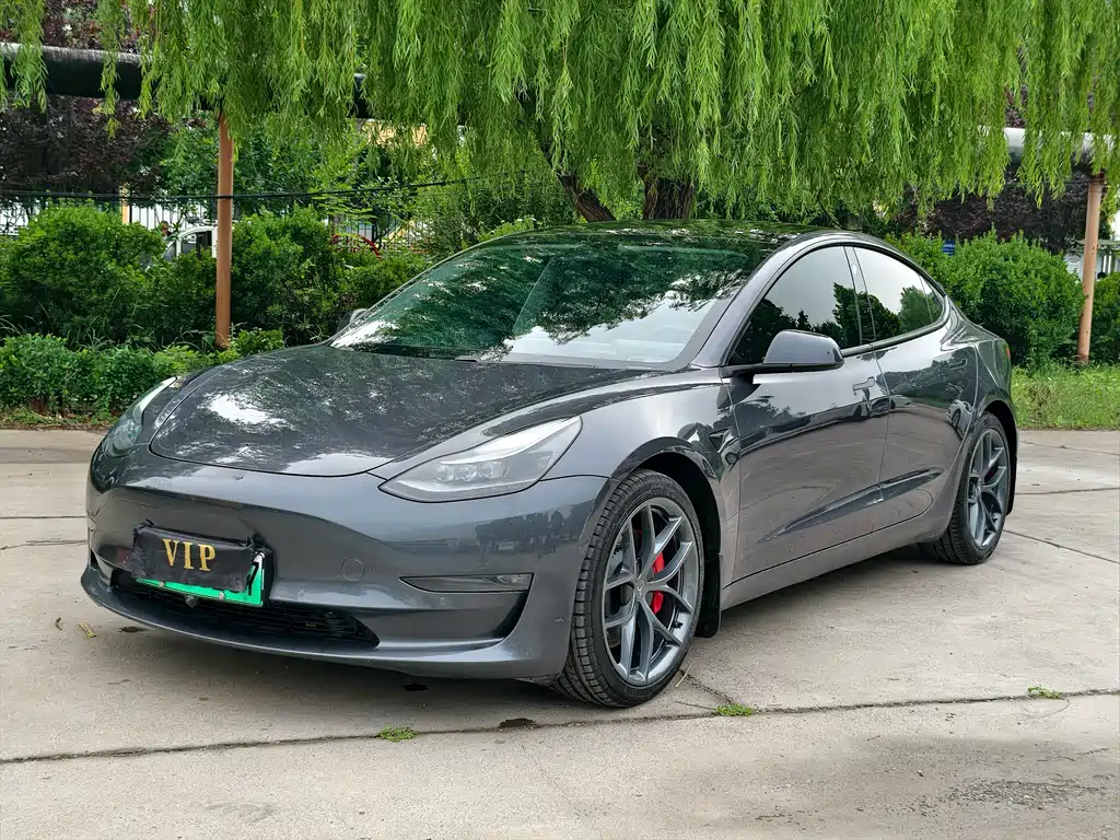 Tesla Model 3 2021