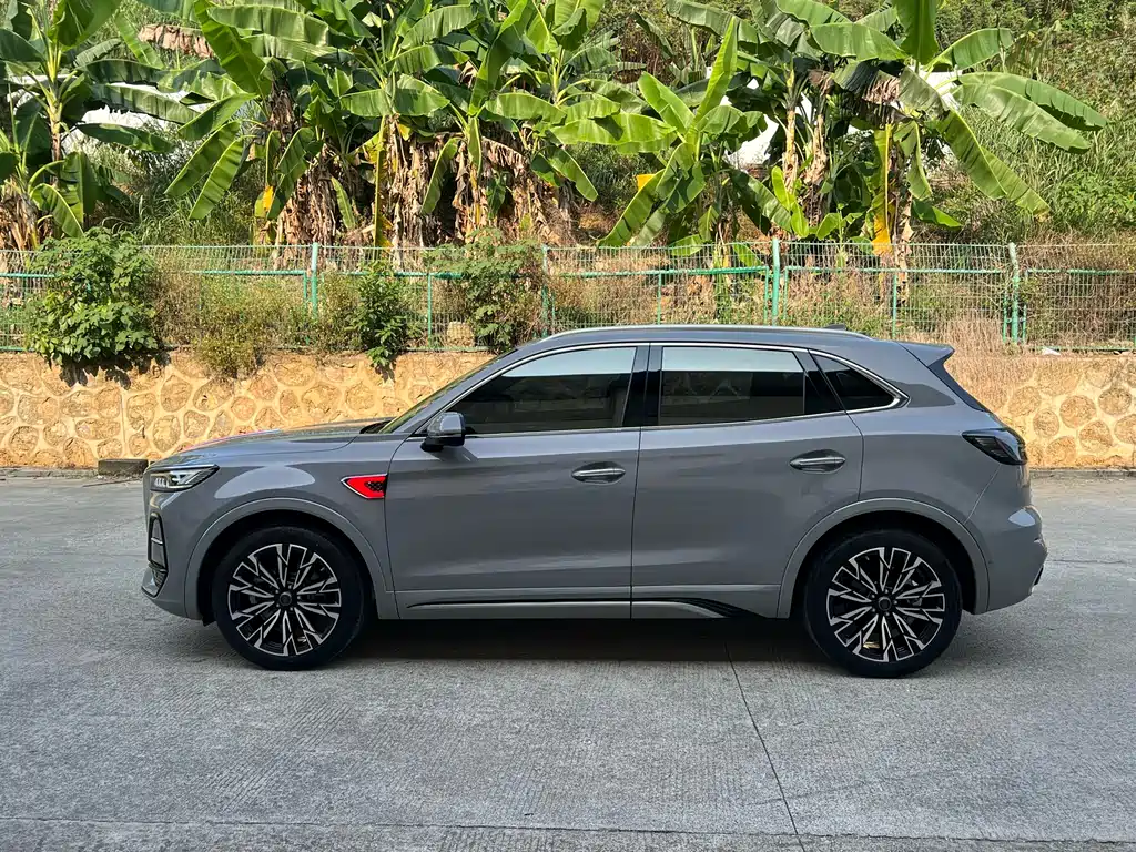 Hongqi HS5 2024