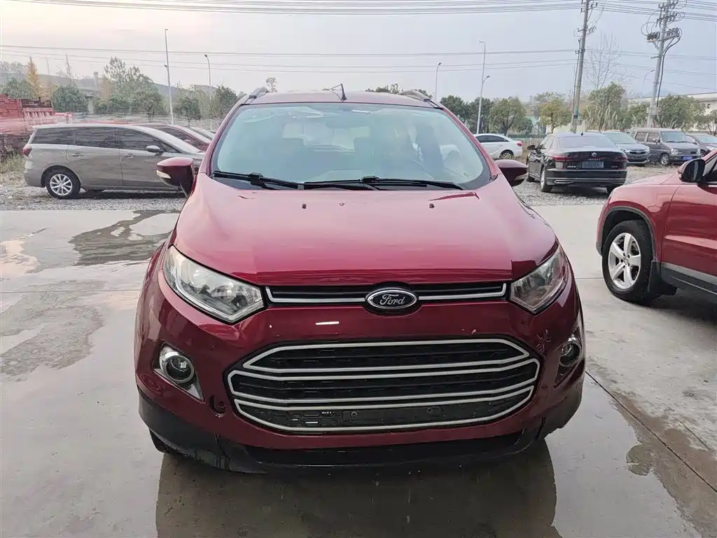 Ford Ecosport 2016 — фото 19
