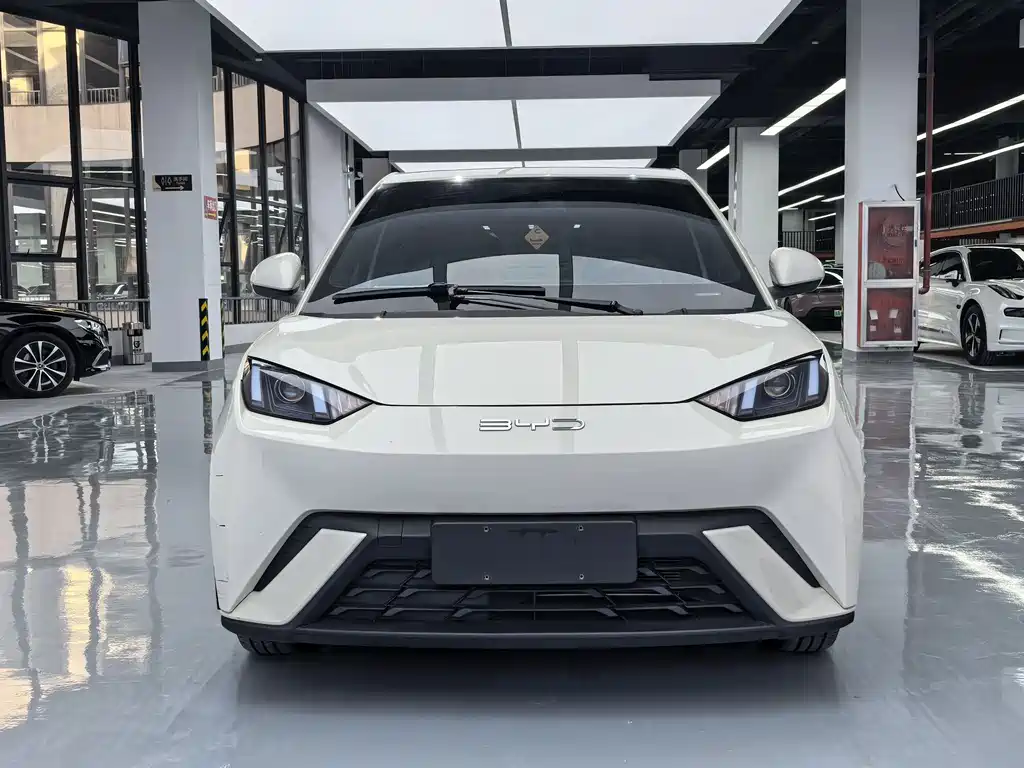 BYD Seagull 2024