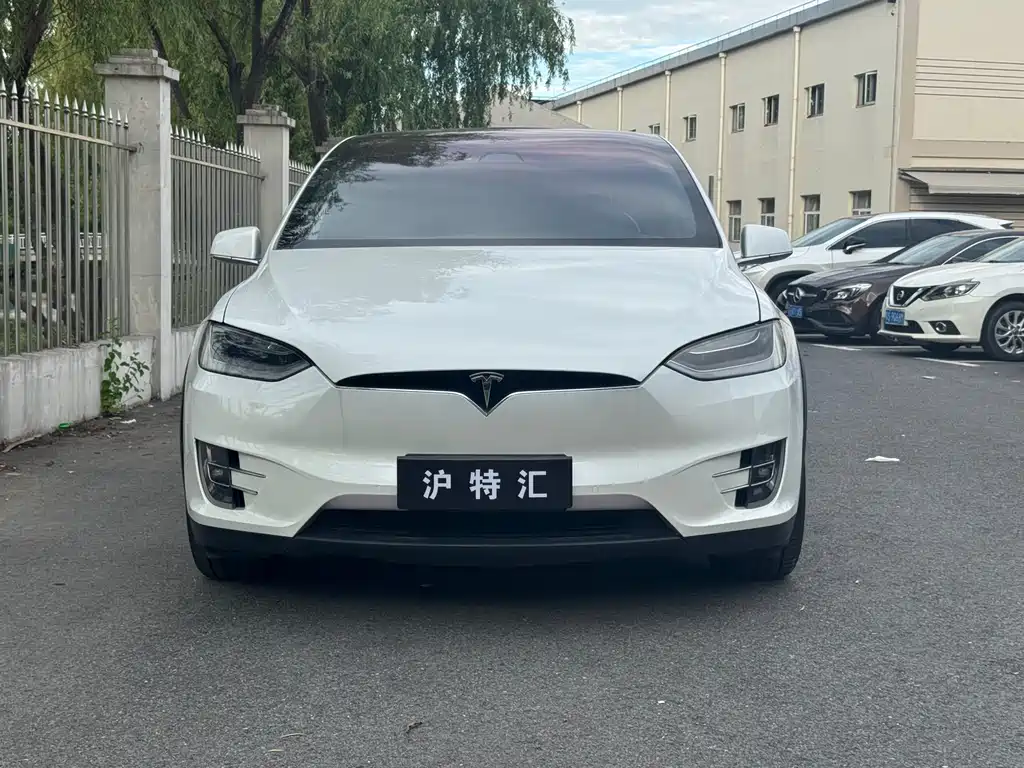Tesla Model X 2020 — фото 2