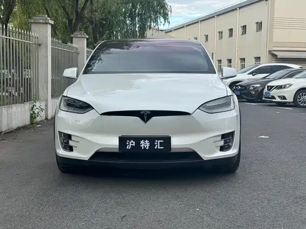 Tesla Model X 2020