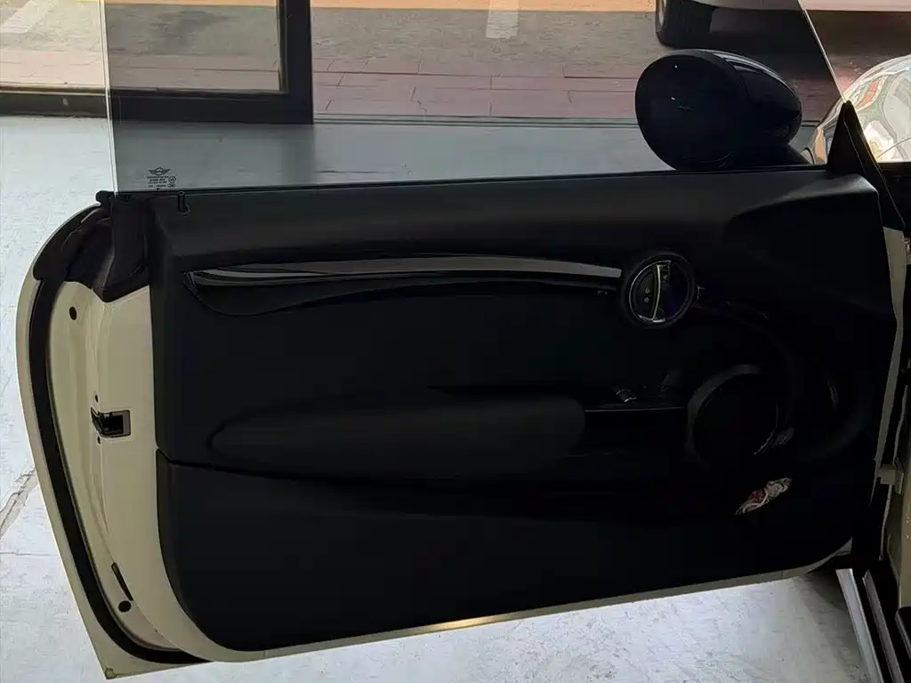 MINI MINI 2019