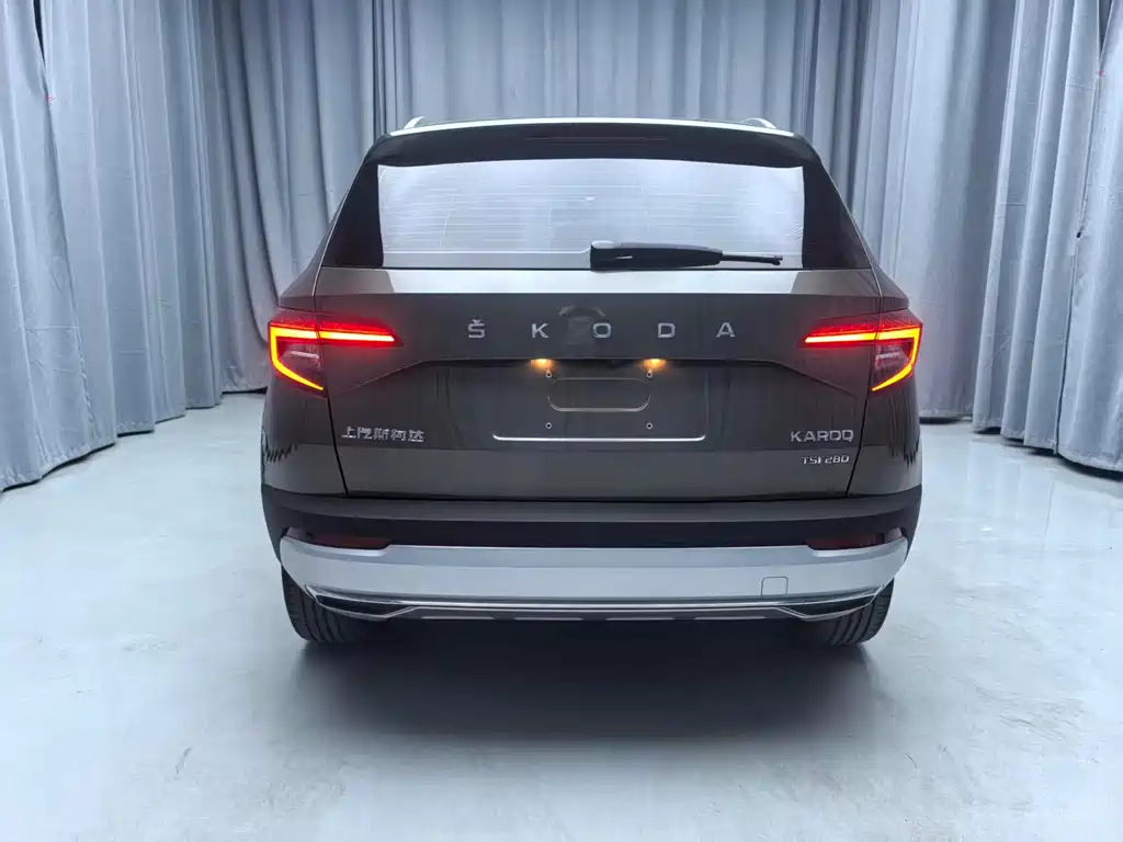 Skoda Karoq 2020 — фото 5