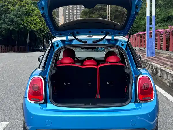 MINI 2018