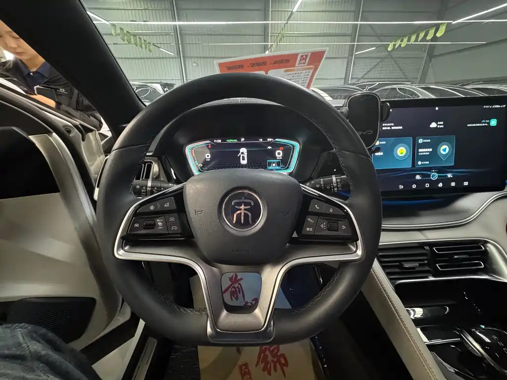 BYD PLUS New Energy 2023 — фото 18