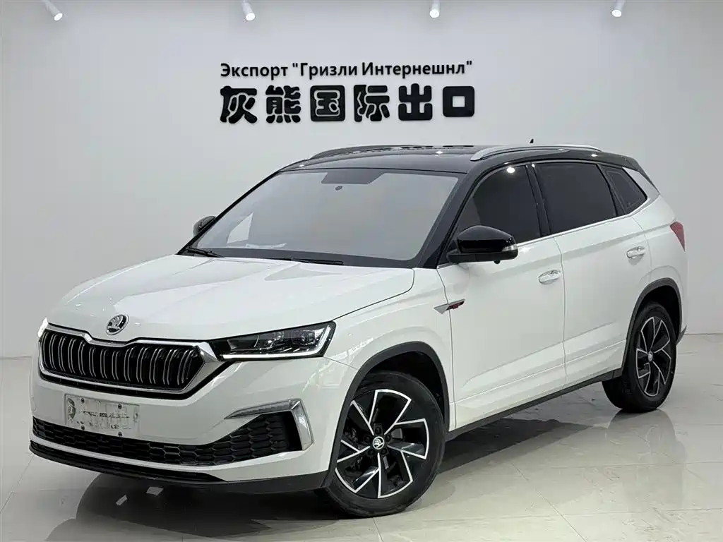 Skoda Kamiq 2022 — фото 1